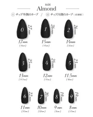 【24時間以内発送】計測用チップ アーモンド