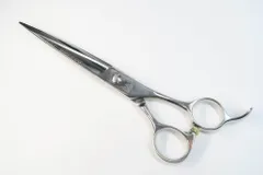 2026年最新】光シザー レイコスモスの人気アイテム - メルカリ