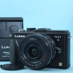 2026年最新】DMC-GX1 14-42の人気アイテム - メルカリ