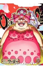 DVD／ONE PIECE ワンピース 20THシーズン ワノ国編 piece.13