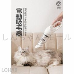 Item thumbnail for item dbcfd5ee-7a0f-4b9c-a1d5-9bd37c0c0adf