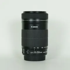 2026年最新】ef-s55-250mm f4-5.6 is stmの人気アイテム - メルカリ