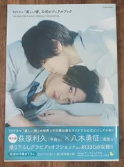 TVドラマ　『美しい彼』　公式ビジュアルブック