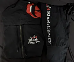 2026年最新】Acid Black Cherry パーカー＋サルエルパンツ セット
