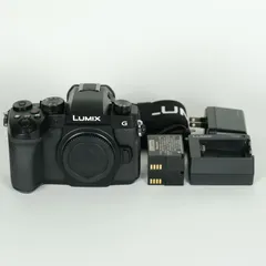 2026年最新】lumix g99の人気アイテム - メルカリ
