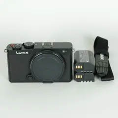 2026年最新】lumix s5iiの人気アイテム - メルカリ