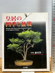 2026年最新】皇居の盆栽の人気アイテム - メルカリ