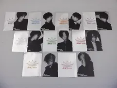 Snow Man Dome Tour 2024 RAYS チケット風カード 9点セット 全種