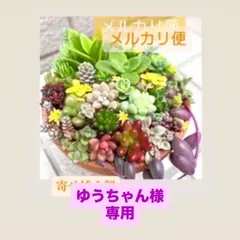 ゆうちゃん様　専用