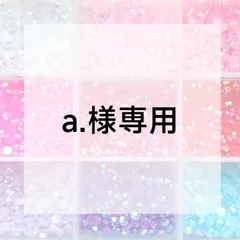 a.様専用ページ