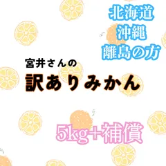 【予約】【離島・北海道・沖縄の方専用】宮井さんの訳ありみかん　5kg＋補償