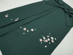 Item thumbnail for item 86e4460f-7b0a-4805-9e98-bb869dcaef8e