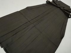 Item thumbnail for item 78b46c47-a6ca-4f78-99c3-ce048922bede