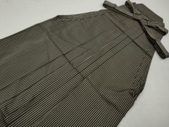 Item thumbnail for item 220b7f73-665a-458c-a851-a1315df5418b