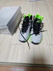 アディダス バスケシューズ 255 (未使用)