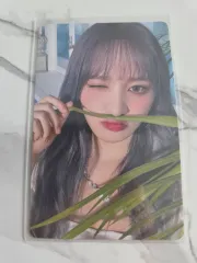 IVE ALIVE HMV リズ