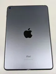 iPad mini (第5世代) Wi-Fi 256GB スペースグレイ