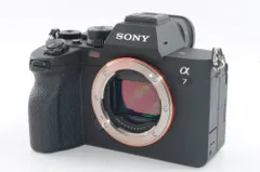 2026年最新】α7iii ジャンクの人気アイテム - メルカリ