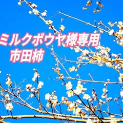 ミルクボウヤ様専用市田柿