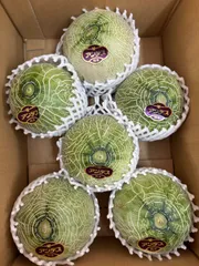 上州屋オリカラデスメロン17個 つり具の上州屋 - あなたのフィッシング＆アウトドアライフをサポート