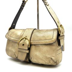 美品 COACH コーチ スネーク柄 アシュトン 2way ショルダーバッグ 
