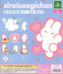【中古】紙製品 ガチャ台紙 「siroiusagichan カプセルラバーストラップ」