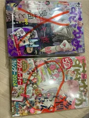 花とゆめ 雑誌 まとめ売り タモン君 今 どちら？ 春の 嵐 MONSTER 背