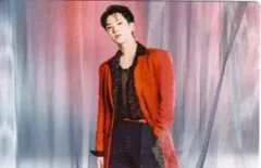 SEVENTEEN POWER OF LOVE HOSHI トレーディングカード 0057