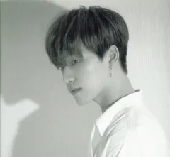 SEVENTEEN YOU MADE MY DAWN DINO ビハインドシーンカード モノクロ