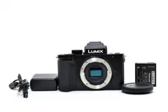 2026年最新】lumix g100の人気アイテム - メルカリ