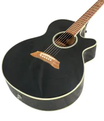 タカミネ takamine T-5/BS アコースティックギター 2026年最新】takamine 5の人気アイテム - メルカリ