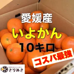 2026年最新】伊予柑の人気アイテム - メルカリ