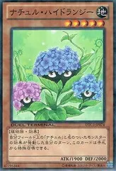 【中古】 遊戯王OCG デュエルモンスターズ ナチュル・ハイドランジー DTC2 DTC2-JP074