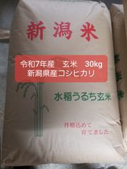 新米】愛知県産あいちのかおり玄米30kg 令和7年産- メルカリ