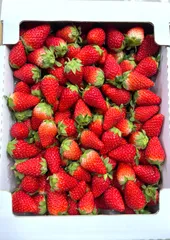 【訳あり品】すずの薫り　1キロ