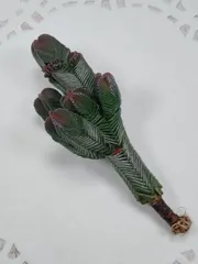 クラッスラ　緑塔　A