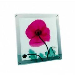 Item thumbnail for item c527338a-f1c3-4270-a233-8353236fcdf0