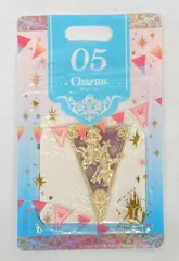 東京ディズニーリゾート チャーム モーメンツゴーラウンド 05チップ&デール 40周年