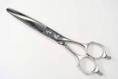 2026年最新】ミズタニシザーの人気アイテム - メルカリ