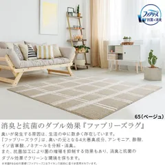 ファブリーズ(アスワン)消臭・抗菌ラグ ノッカ 130×190cm CA6602-65・95 ※北海道、沖縄、離島や山間部等へはお届けできません
