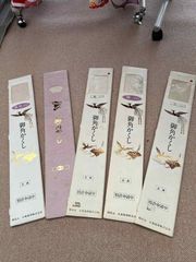 Item thumbnail for item 75f70627-74ef-4a91-93f4-f94bdf72a814