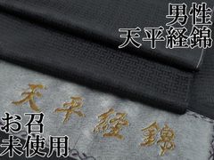 Item thumbnail for item 1dea4255-00c0-45d5-b719-1d7a3a5bd712