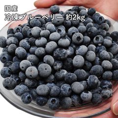 島根県産 冷凍 ブルーベリー 4kg 栽培期間中、農薬・化学肥料不使用 島根県産 冷凍 ブルーベリー 4kg 栽培期間中、農薬・化学肥料不使用