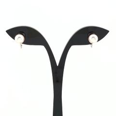 Item thumbnail for item 30871290-0e4e-4b76-ba16-a7b16e279910