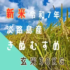 新米 令和7年産 きぬむすめ 玄米30kg 淡路島産 産地直送 お米 送料無料 送料込み 30キロ