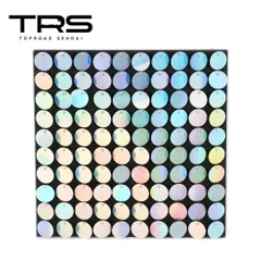 TRS スパンコール 100個 ブラックボードセット 300×300mm ミラーシルバー 390130