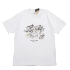 ■未使用品■2023SS■THE NORTH FACE ザ・ノースフェイス Walls Tee 半袖Ｔシャツ サイズL 20260123/RA7363