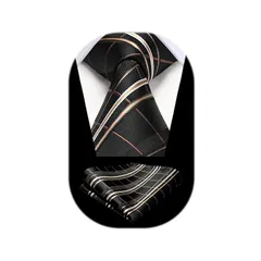 [HISDERN] ブランド ネクタイ ストライプ ネクタイ メンズ チーフ セット ビジネス用 ブランド ビジネス 入学式 卒業式 成人式 HC-04