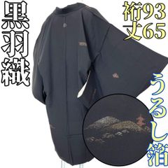 着物と帯 時流】N25858◇正絹 九寸名古屋帯◇刺衲 とんぼ 未使用品