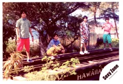 Sexy Zone/King＆Prince 16年 ハワイオフショット 佐藤勝利/平野紫耀/永瀬廉/髙橋海人 公式写真 *1枚